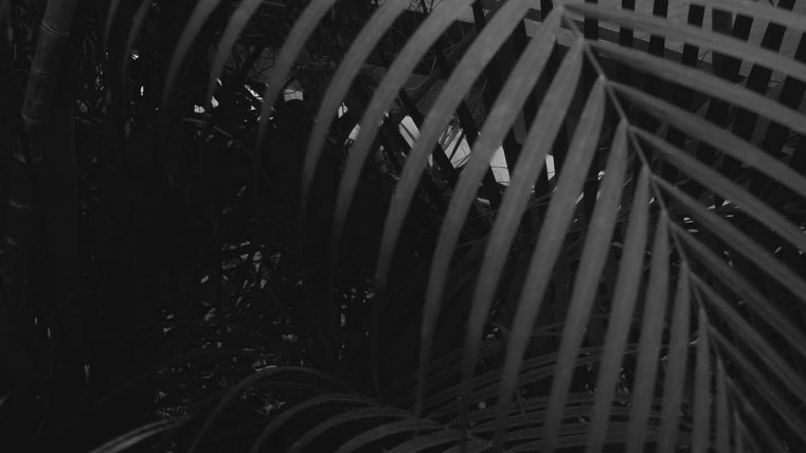 Our Pledge to the Environment